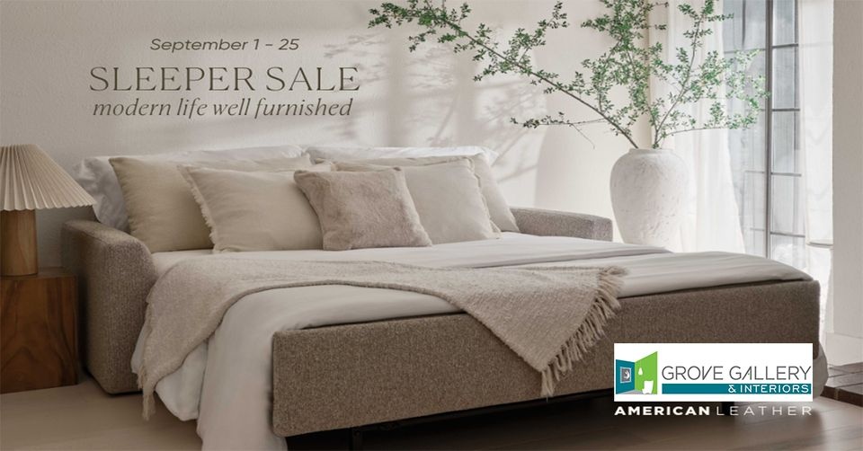 Grove Gallery and Interiors American Comfort Sleeper Sale